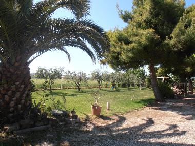 Ferienhaus in Porto Sant'Elpidio (Ascoli Piceno) oder Ferienwohnung oder Ferienhaus