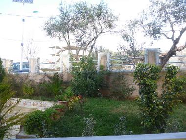 Ferienhaus in KSAMIL (Sarande) oder Ferienwohnung oder Ferienhaus