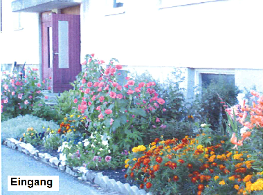 Ferienwohnung in �sse Dorf (Laanemaa) oder Ferienwohnung oder Ferienhaus