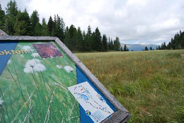 Chalet in Turracher H�he (Oberk�rnten) oder Ferienwohnung oder Ferienhaus