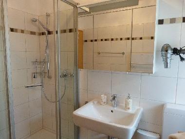 Bad mit Dusche u. WC, gr. Spiegelschrank, Fhn, Badheizung usw.