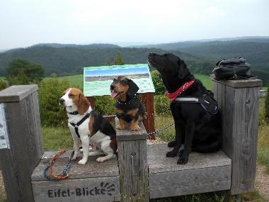 Eine Pause im Wachholderschutzgebiet Lampertztal