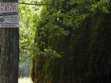 Ganz nah - der Eifel-Krimi-Wanderweg
