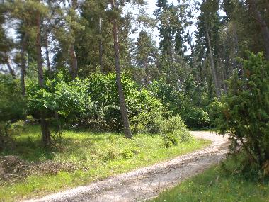 Die Wanderwege ums Feriendorf