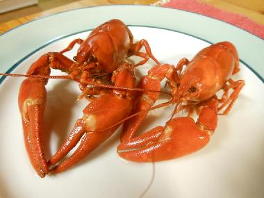 Ferienhaus in J�ms� (Lansi-Suomen Laani) oder Ferienwohnung oder Ferienhaus