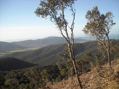 Ferienwohnung in Scarlino (Grosseto) oder Ferienwohnung oder Ferienhaus