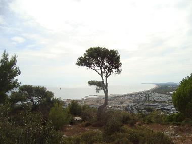 Ferienwohnung in Marseillan (H�rault) oder Ferienwohnung oder Ferienhaus