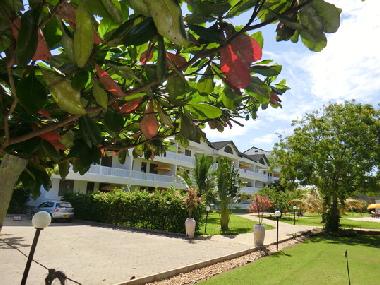 Ferienwohnung in Diani (Coast) oder Ferienwohnung oder Ferienhaus