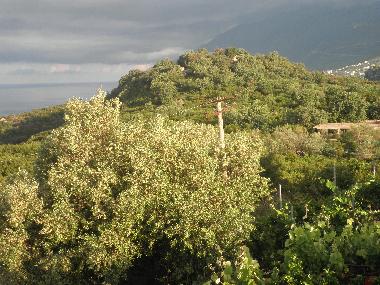 Pension in Dhermi (Vlore) oder Ferienwohnung oder Ferienhaus