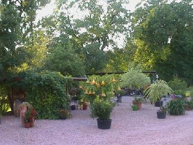 Ferienwohnung in P�ttlingen (Stadtverband Saarbr�cken) oder Ferienwohnung oder Ferienhaus