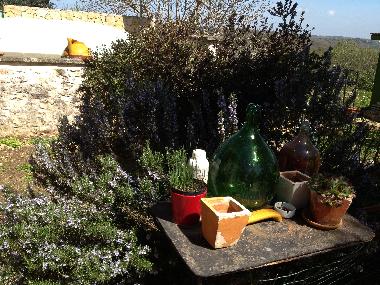 Ferienhaus in Ceglie Messapica (Taranto) oder Ferienwohnung oder Ferienhaus