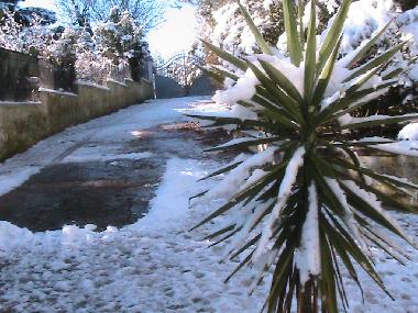 Ferienhaus in Ceglie Messapica (Taranto) oder Ferienwohnung oder Ferienhaus
