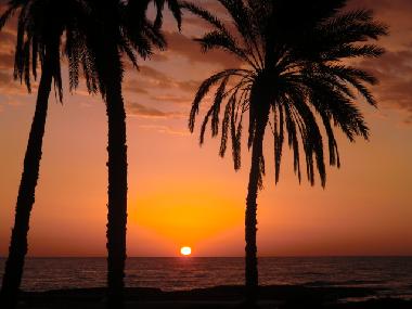Ferienwohnung in zarzis (Madanin) oder Ferienwohnung oder Ferienhaus