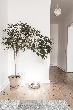 Ferienwohnung in Berlin (Treptow) oder Ferienwohnung oder Ferienhaus