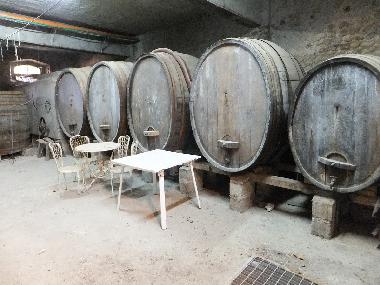 Die noch gelagerten Weinf�sser im Kellerbereich