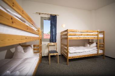 Ferienhaus in Klink (Mecklenburgische Seenplatte) oder Ferienwohnung oder Ferienhaus