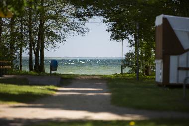 Ferienhaus in Klink (Mecklenburgische Seenplatte) oder Ferienwohnung oder Ferienhaus