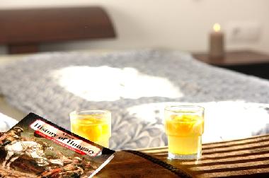 Ferienwohnung in Budapest (Budapest) oder Ferienwohnung oder Ferienhaus