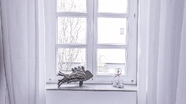 Ferienwohnung in Berlin (Treptow) oder Ferienwohnung oder Ferienhaus