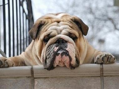 Ferienwohnung in Heraklion (Irakleio) oder Ferienwohnung oder Ferienhaus