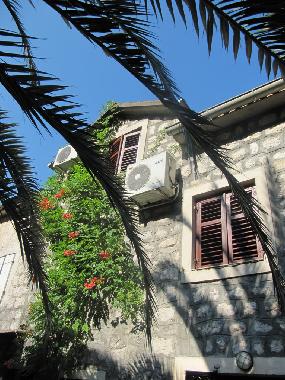 Villa in Kotor (Montenegro) oder Ferienwohnung oder Ferienhaus