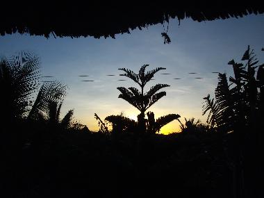 Sonnenuntergang