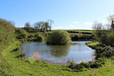 Ferienhaus in Tavistock (South West) oder Ferienwohnung oder Ferienhaus