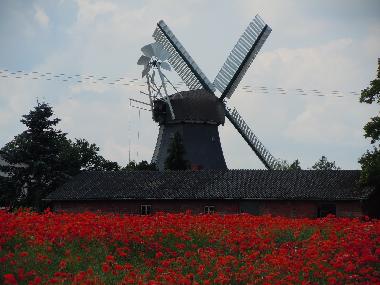 Ferienwohnung in Marina Wendtorf (Ostsee-Festland) oder Ferienwohnung oder Ferienhaus