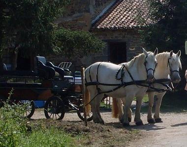 Ferienhaus in Varaignes (Dordogne) oder Ferienwohnung oder Ferienhaus