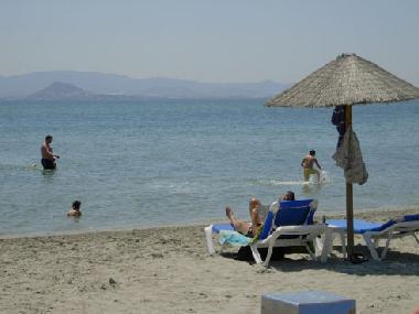 Ferienwohnung in Torre Pacheco (Murcia) oder Ferienwohnung oder Ferienhaus