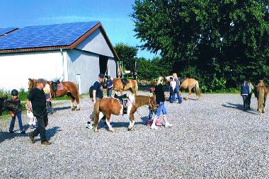 Ferienwohnung in Dageb�ll (Nordsee-Festland) oder Ferienwohnung oder Ferienhaus