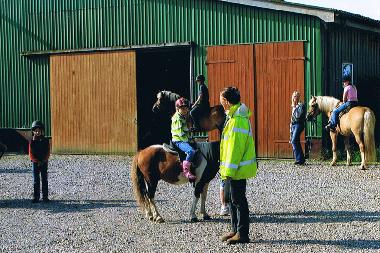 Ferienwohnung in Dageb�ll (Nordsee-Festland) oder Ferienwohnung oder Ferienhaus