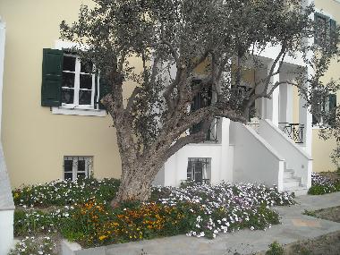 Ferienwohnung in Syros (Kyklades) oder Ferienwohnung oder Ferienhaus
