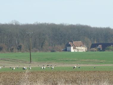 Ferienhaus in Nazelles-N�gron (Centre) oder Ferienwohnung oder Ferienhaus