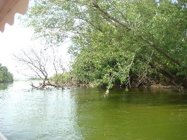 Ferienhaus in Nazelles-N�gron (Centre) oder Ferienwohnung oder Ferienhaus