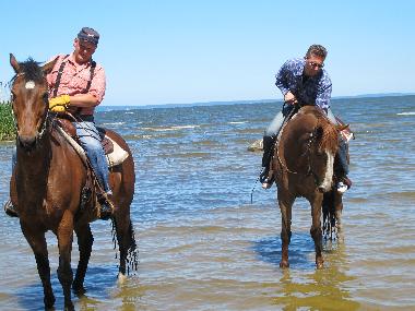 REITEN  NUR 100M ZUM WASSER