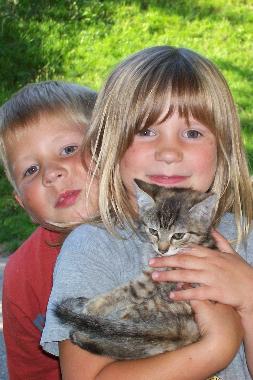 Ferienwohnung in St.Peter (Schwarzwald) oder Ferienwohnung oder Ferienhaus
