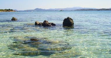 Ferienwohnung in portorotondo (Olbia-Tempio) oder Ferienwohnung oder Ferienhaus