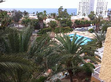 Ferienwohnung in Adeje (Teneriffa) oder Ferienwohnung oder Ferienhaus