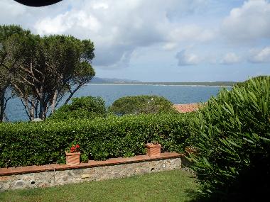 Villa in Ansedonia (Grosseto) oder Ferienwohnung oder Ferienhaus