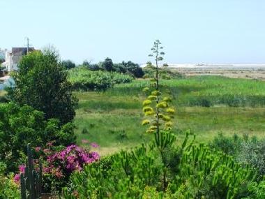 Ferienhaus in Moncarapacho (Algarve) oder Ferienwohnung oder Ferienhaus