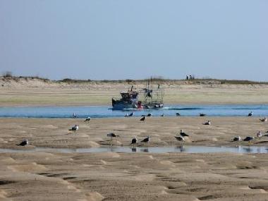 Ferienhaus in Moncarapacho (Algarve) oder Ferienwohnung oder Ferienhaus