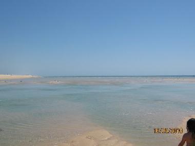 Ferienhaus in Moncarapacho (Algarve) oder Ferienwohnung oder Ferienhaus