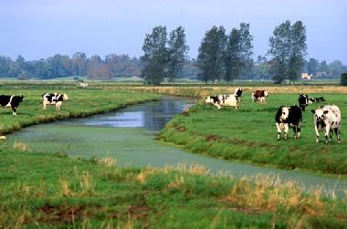 Ferienhaus in SAINTE MERE EGLISE (Manche) oder Ferienwohnung oder Ferienhaus