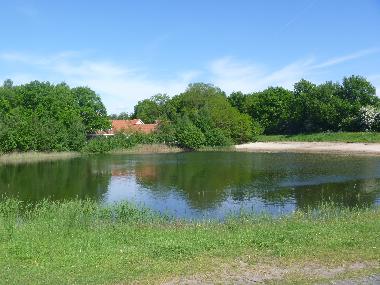 Ferienhaus in Ommen (Overijssel) oder Ferienwohnung oder Ferienhaus