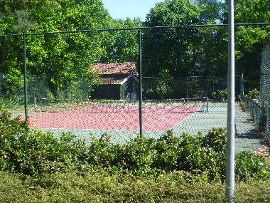 Ferienhaus in Ommen (Overijssel) oder Ferienwohnung oder Ferienhaus