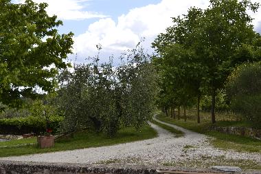 Ferienwohnung in Rignano Sull