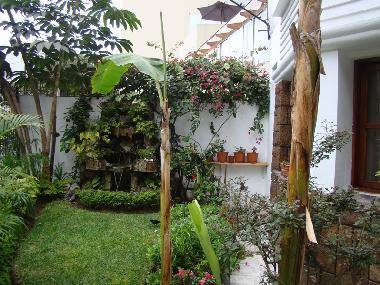 Ferienwohnung in Miraflores Lima Peru Garten