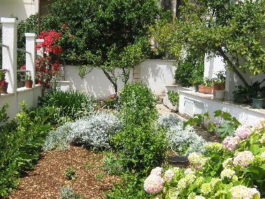 Ferienwohnung in Podgora (Splitsko-Dalmatinska) oder Ferienwohnung oder Ferienhaus