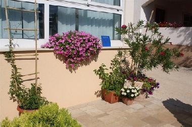 Ferienwohnung in Mandre (Zadarska) oder Ferienwohnung oder Ferienhaus